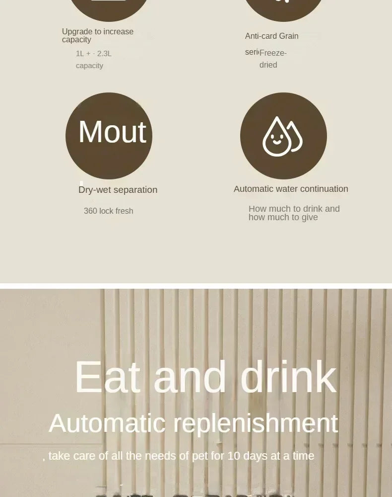 帶飲水器的自動寵物餵食器 — 貓狗用大容量高架碗