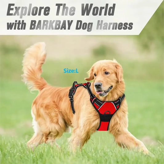 Leather Dog Collar, Harness & Leash Set — Puppy Accessories for Small & Medium Dogs