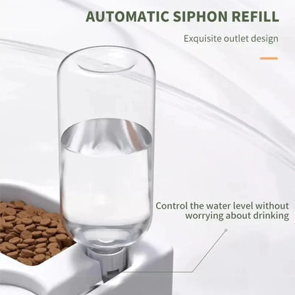 2-in-1 Automatic Pet Bowl — Moisture-Proof Drinking & Feeding Bowl for Cats & Dogs