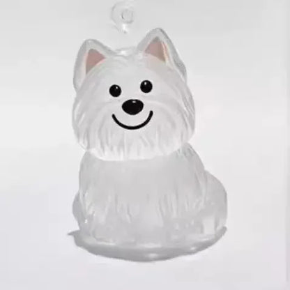 Transparent Dog Hair Storage Container Adorable Pet Keepsake Capsule Pendant With Key Ring for Pet Lovers DIY Memorial Keychain